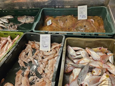 WhatsApp Image 2025-11-07 at 09.18.38.jpeg